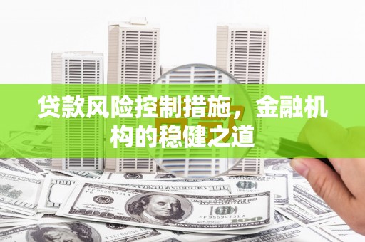 龙凤贷款风险控制措施，金融机构的稳健之道