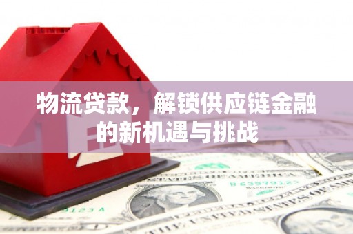 龙凤物流贷款，解锁供应链金融的新机遇与挑战