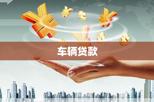 龙凤车辆贷款
