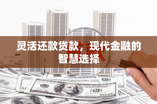 龙凤灵活还款贷款，现代金融的智慧选择