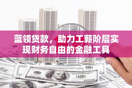 龙凤蓝领贷款，助力工薪阶层实现财务自由的金融工具