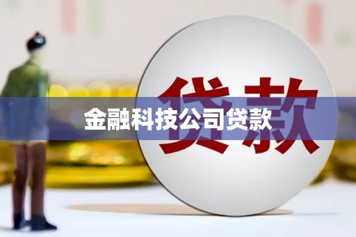 龙凤金融科技公司贷款