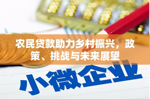 龙凤农民贷款助力乡村振兴，政策、挑战与未来展望