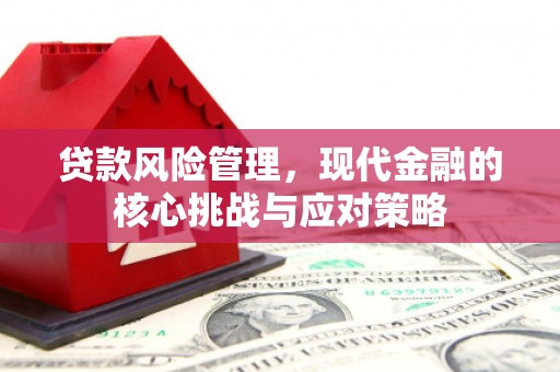 龙凤贷款风险管理，现代金融的核心挑战与应对策略