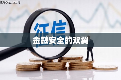 龙凤金融安全的双翼