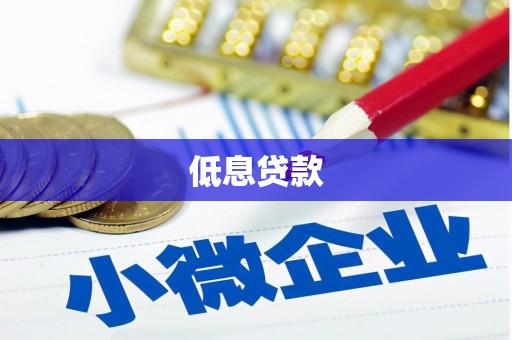 龙凤低息贷款