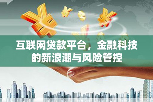 龙凤互联网贷款平台，金融科技的新浪潮与风险管控