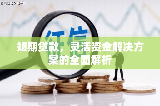 龙凤短期贷款，灵活资金解决方案的全面解析