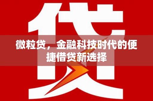 龙凤微粒贷，金融科技时代的便捷借贷新选择