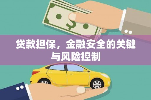 龙凤贷款担保，金融安全的关键与风险控制