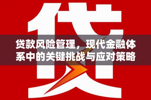 龙凤贷款风险管理，现代金融体系中的关键挑战与应对策略