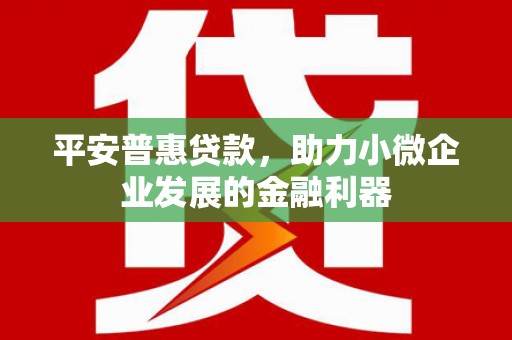 龙凤平安普惠贷款，助力小微企业发展的金融利器