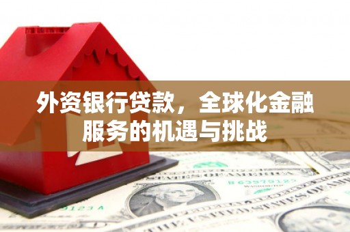 龙凤外资银行贷款，全球化金融服务的机遇与挑战