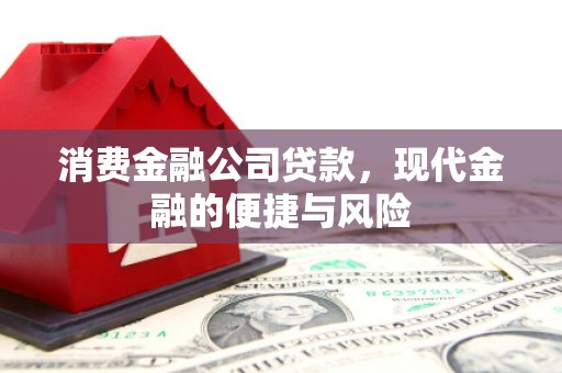 龙凤消费金融公司贷款，现代金融的便捷与风险