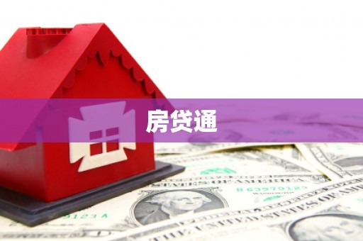 龙凤房贷通