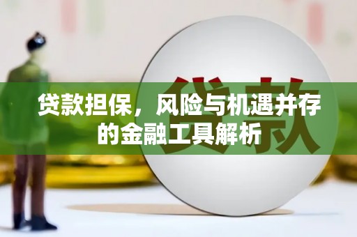 龙凤贷款担保，风险与机遇并存的金融工具解析