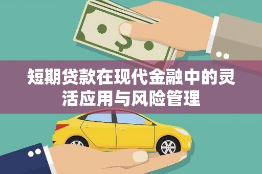 龙凤短期贷款在现代金融中的灵活应用与风险管理
