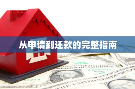龙凤从申请到还款的完整指南