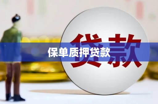 龙凤保单质押贷款