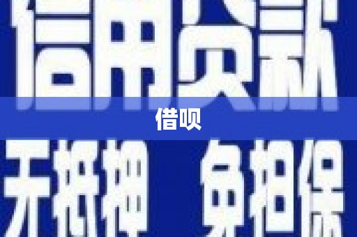 龙凤借呗