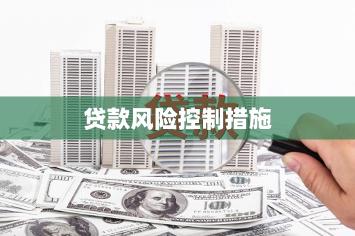 龙凤贷款风险控制措施