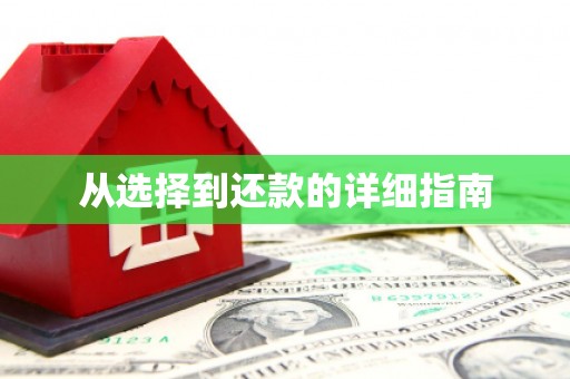 龙凤从选择到还款的详细指南