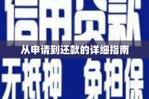 龙凤从申请到还款的详细指南
