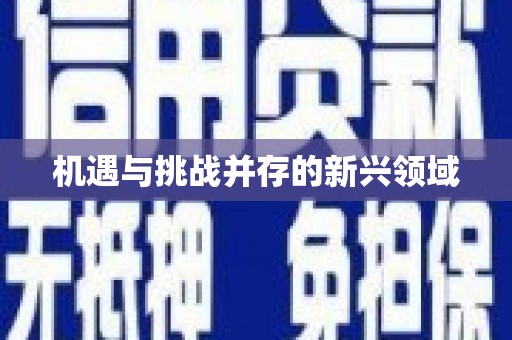 龙凤机遇与挑战并存的新兴领域