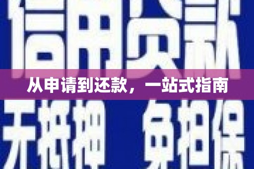 龙凤从申请到还款，一站式指南