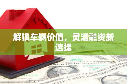 龙凤解锁车辆价值，灵活融资新选择
