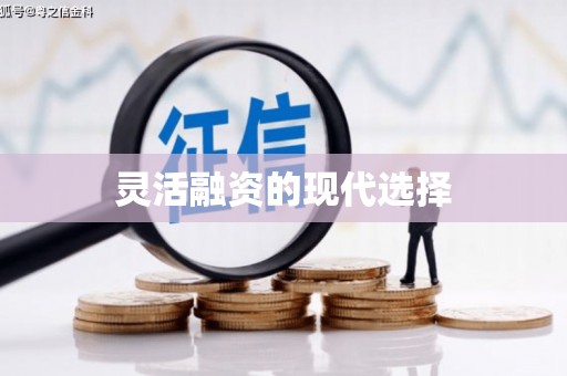 龙凤灵活融资的现代选择