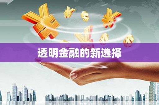 龙凤透明金融的新选择