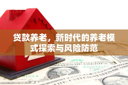 龙凤贷款养老，新时代的养老模式探索与风险防范