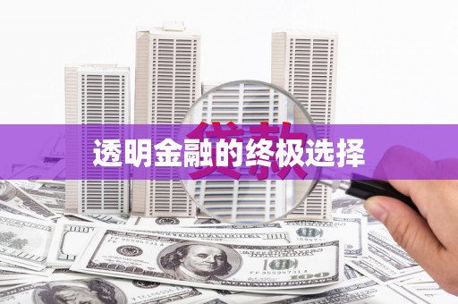 龙凤透明金融的终极选择
