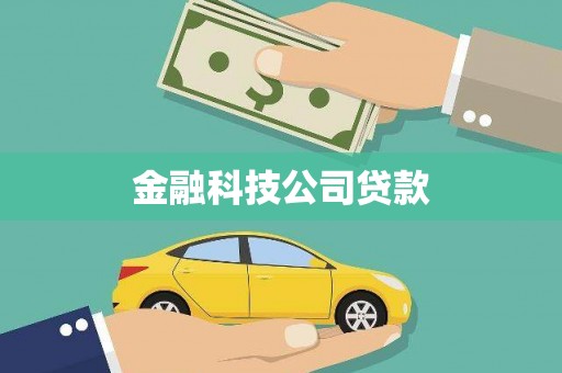 龙凤金融科技公司贷款