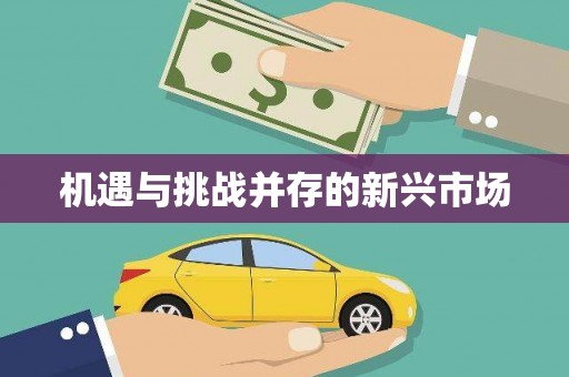 龙凤机遇与挑战并存的新兴市场
