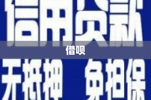 龙凤借呗