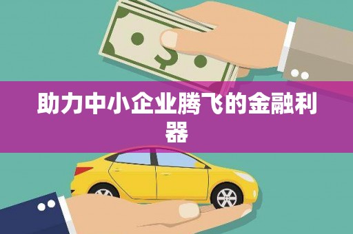 龙凤助力中小企业腾飞的金融利器