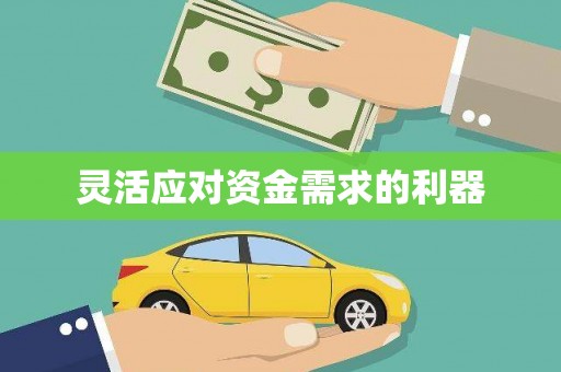 龙凤灵活应对资金需求的利器