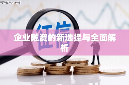 龙凤企业融资的新选择与全面解析