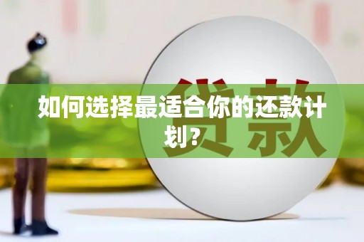 龙凤如何选择最适合你的还款计划？