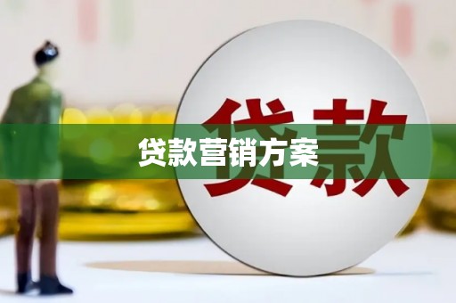 龙凤贷款营销方案