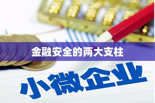 龙凤金融安全的两大支柱