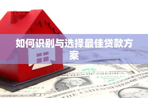 龙凤如何识别与选择最佳贷款方案