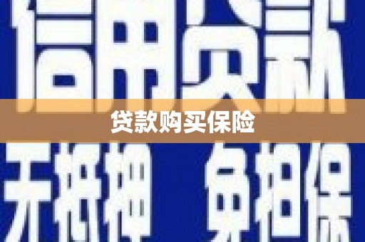 龙凤贷款购买保险