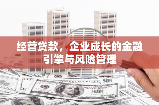 龙凤经营贷款，企业成长的金融引擎与风险管理
