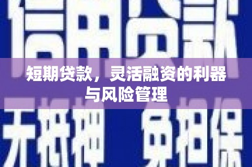 龙凤短期贷款，灵活融资的利器与风险管理