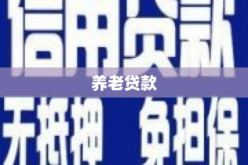 龙凤养老贷款